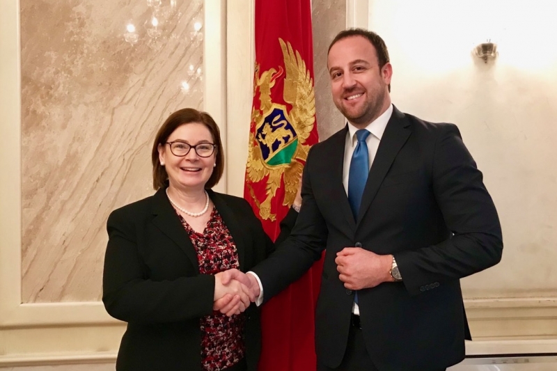 Predsjednik Odbora za međunarodne odnose i iseljenike održao sastanak sa ambasadorkom SAD u Crnoj Gori