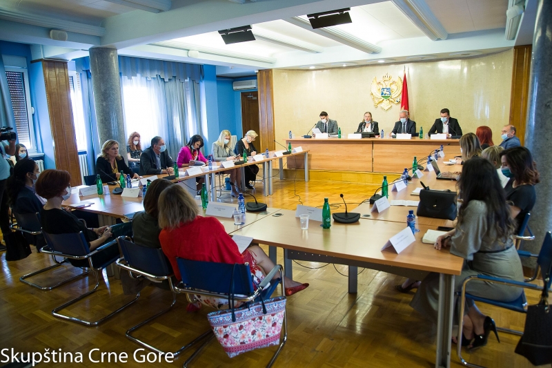 Gender Equality Committee holds its 45th Meeting