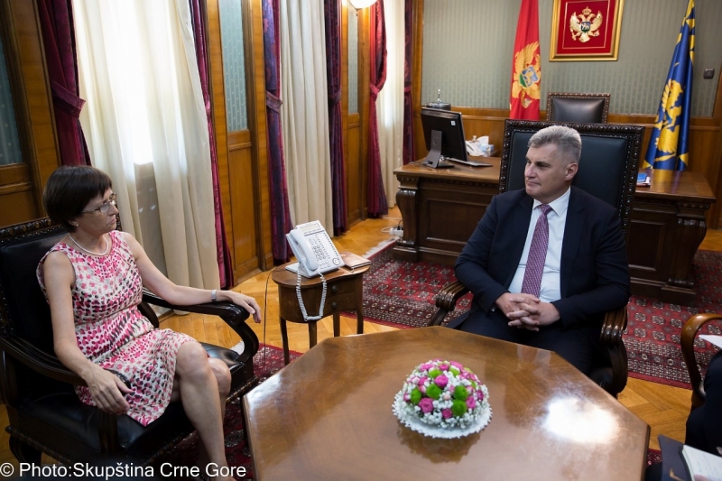 President of the Parliament hosts Ambassador of the Czech Republic