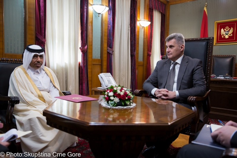 Meeting of the President of the Parliament with the Ambassador of Qatar