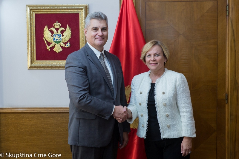 After Brussels the new NATO PA President starts her term by visiting Montenegro