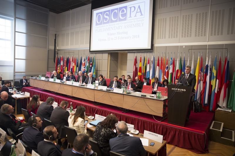 President of the Parliament speaks at the OSCE PA Winter Meeting