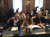 Delegation of the Parliament of Montenegro takes part in the OSCE PA conference in Vienna