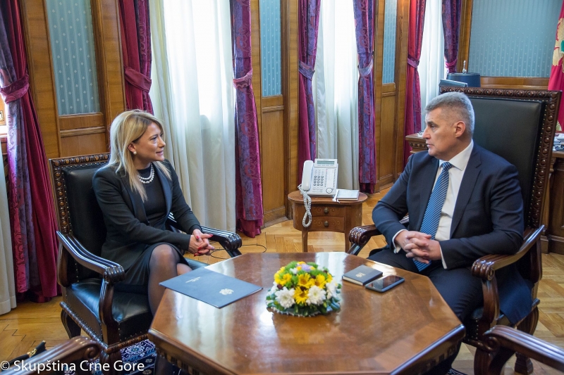 President of Parliament speaks with Montenegrin Ambassador to the Republic of North Macedonia