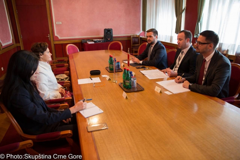 Chairperson of the Committee on International Relations and Emigrants meets the Austrian Ambassador to Montenegro