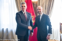 Evropski poslanici poručili da Crna Gora u Evropskom parlamentu ima saveznika za pridruživanje EU
