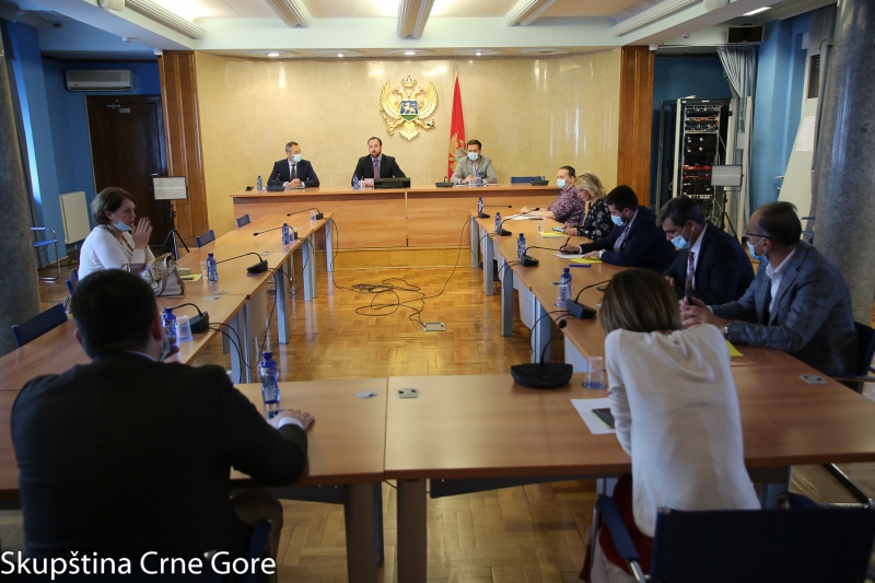 Committee on International Relations and Emigrants holds its 73rd meeting