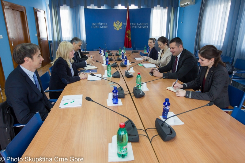 Chairperson of the Committee on European Integration holds a meeting with representatives of the Montenegrin Pan-European Union