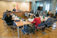 Security and Defence Committee holds its Twelfth Meeting