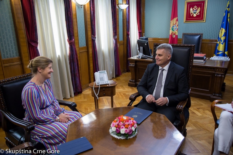 President of the Parliament talks with the British Ambassador