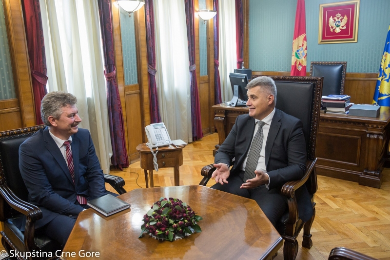 President of the Parliament hosts the new Hungarian Ambassador