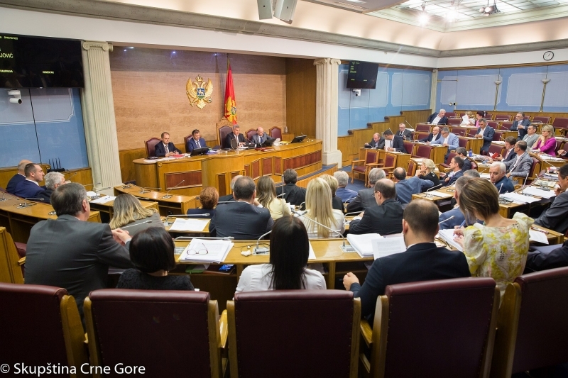 Sitting of the First Extraordinary Session in 2019