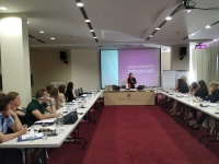 Odbor za rodnu ravnopravnost u saradnji sa Misijom OEBS-a u Crnoj Gori organizovao tematsku radionicu