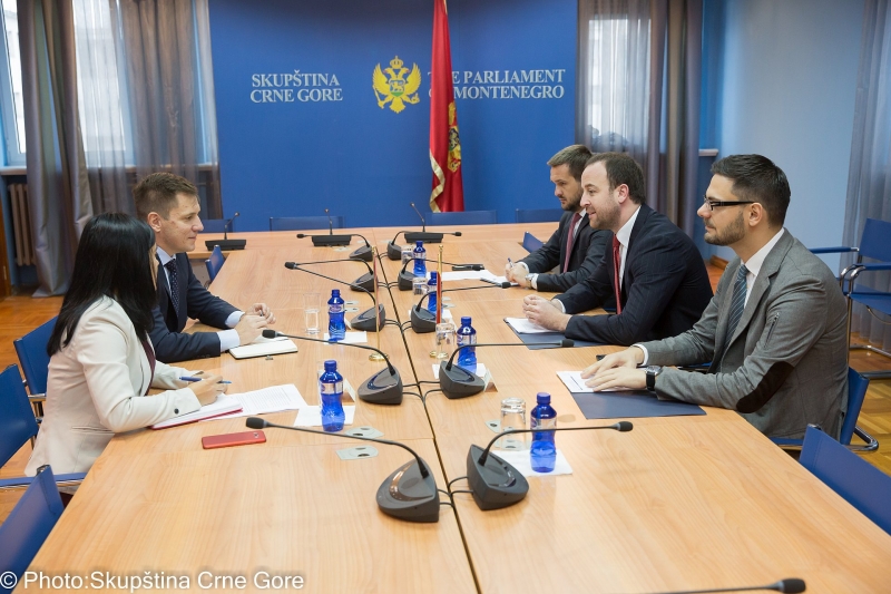 Predsjednik Odbora za međunarodne odnose i iseljenike primio novoimenovanog ambasadora Češke Republike u Crnoj Gori