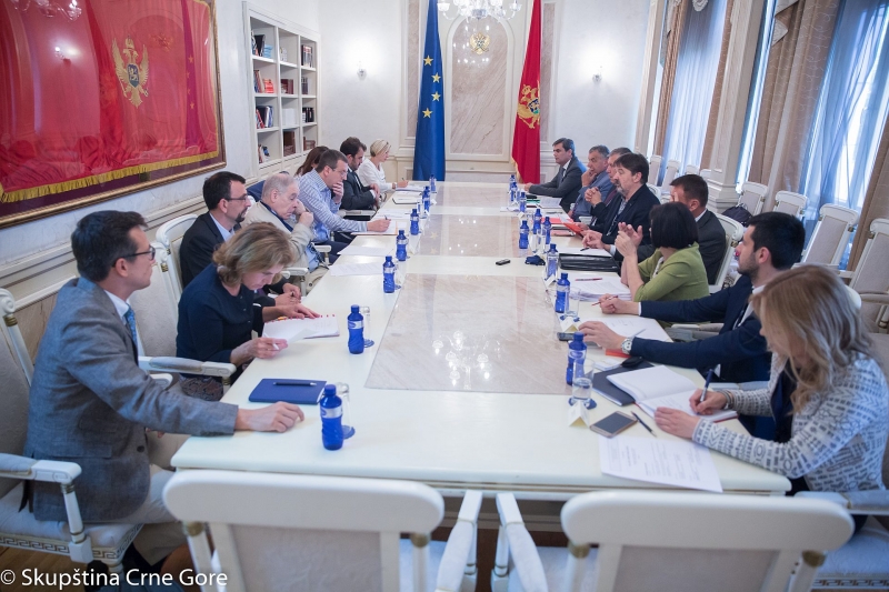 The Constitutional Committee of the Parliament of Montenegro holds a joint meeting with the Constitutional Committee of the European Parliament