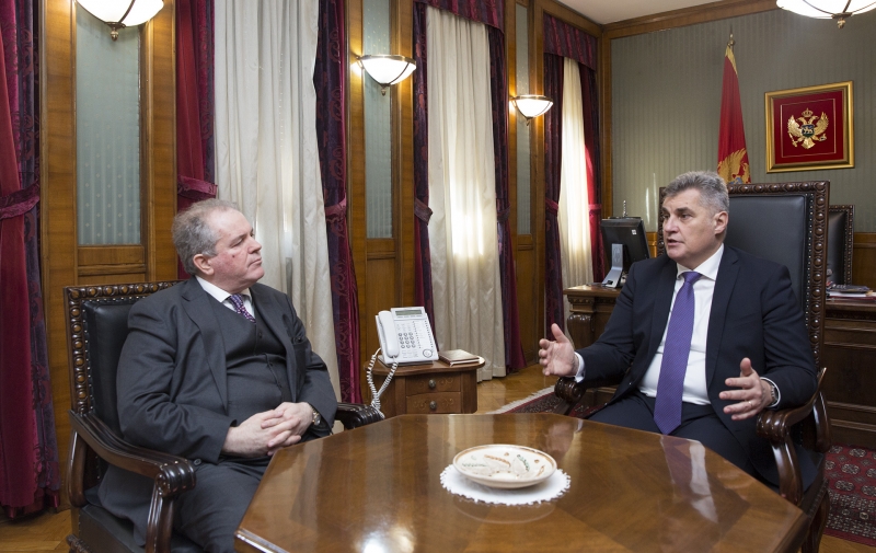 President of the Parliament talks with the European Parliament&#039;s Rapporteur for Montenegro Mr Charles Tannock