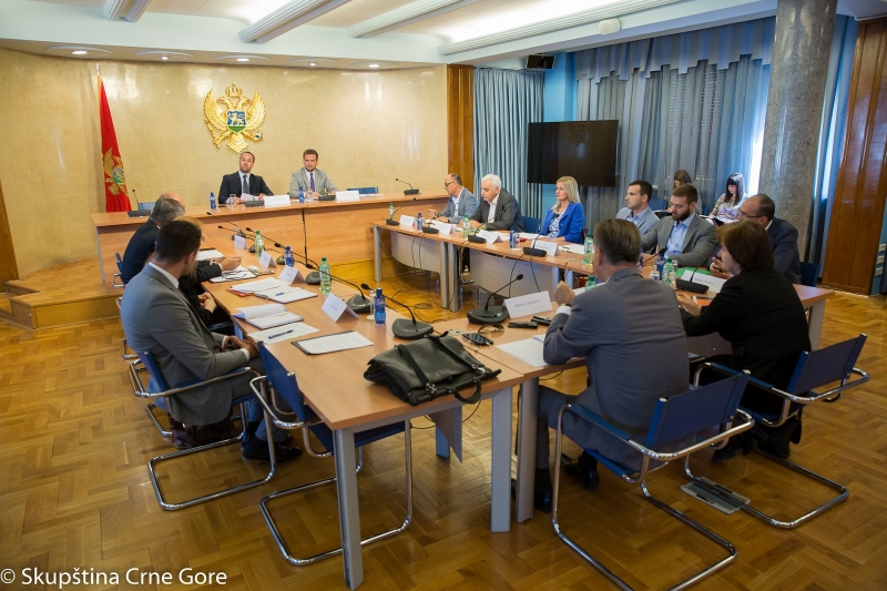 Committee on International Relations and Emigrants holds its 41st Meeting