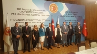 Meeting of the SEECP PA General Committee on Economy, Infrastructure and Energy held