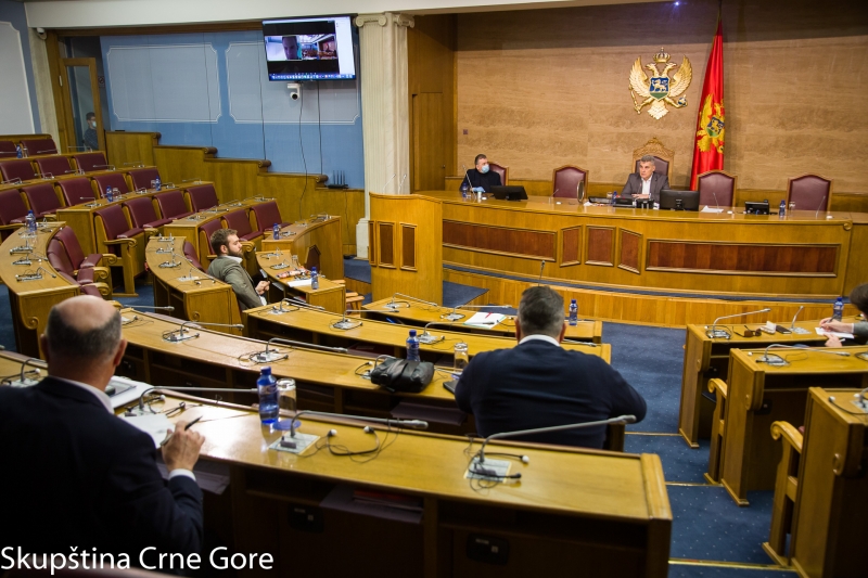 Meetings via online video conferencing held in the Parliament of Montenegro for the first time