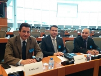 Conference on public procurement and parliament’s role held in Brussels