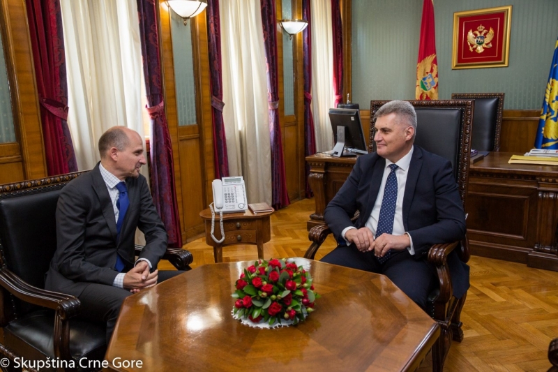 Mr Brajović with Mr Posa on the visit of the Speaker of the Parliament of Hungary