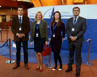 Delegation of the Parliament participates in the PACE Winter Session