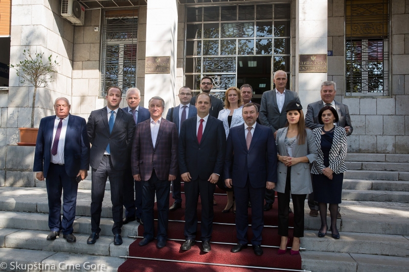 Meeting of the Montenegro - Ukraine parliamentary Friendship Group held