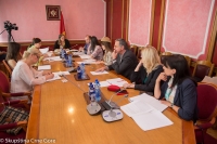 Gender Equality Committee holds its Seventeenth Meeting