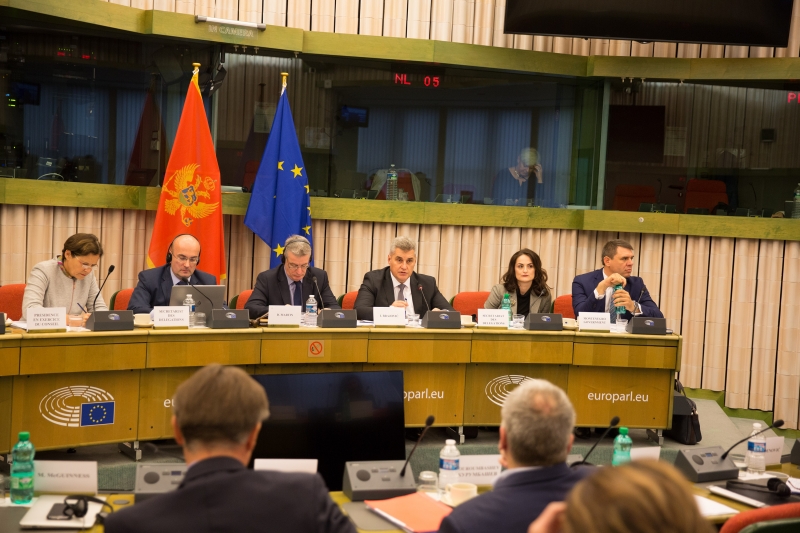 SAPC in Strasbourg on Montenegro-EU relations begins