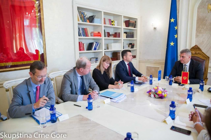 President of the Parliament hosts co-rapporteurs of the Parliamentary Assembly of the Council of Europe for Montenegro
