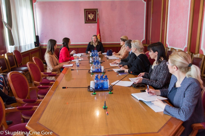Gender Equality Committee holds its 30th meeting