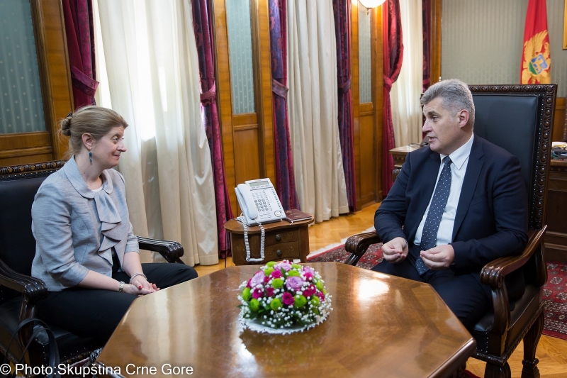 President Brajović hosts newly-appointed Ambassador of the United Kingdom to Montenegro Ms Alison Kemp