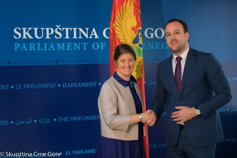 Chairperson of the Committee on International Relations and Emigrants meets with Ambassador of the United Kingdom of Great Britain and Northern Ireland to Montenegro