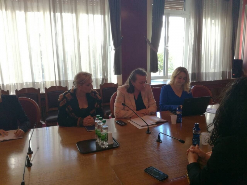 Gender Equality Committee Chairperson and member meet with UN WOMEN expert