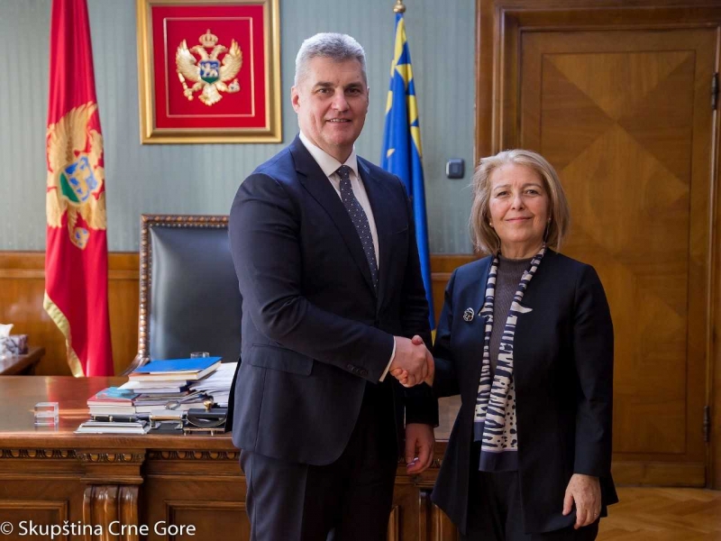 President of the Parliament of Montenegro receives the Turkish Ambassador in inaugural visit