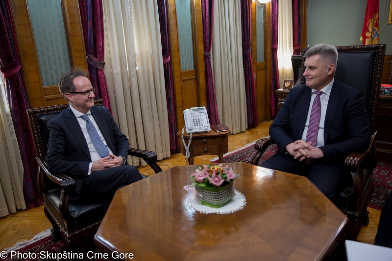 President Brajović receives Ambassador of Switzerland