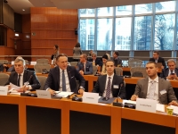Delegacija Skupštine učestvovala na okruglom stolu i sastanku Odbora za vanjske poslove Evropskog parlamenta
