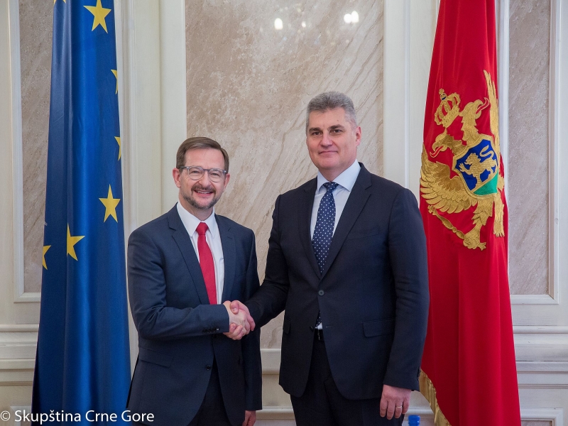 President of Parliament speaks with OSCE Secretary General