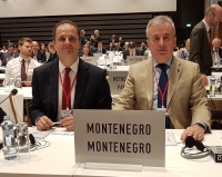NATO Parliamentary Assembly 2019 Spring Session -  final day